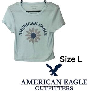 EUC American Eagle Outfitters Light Blue Graphic Retro Cropped Baby Tee in L